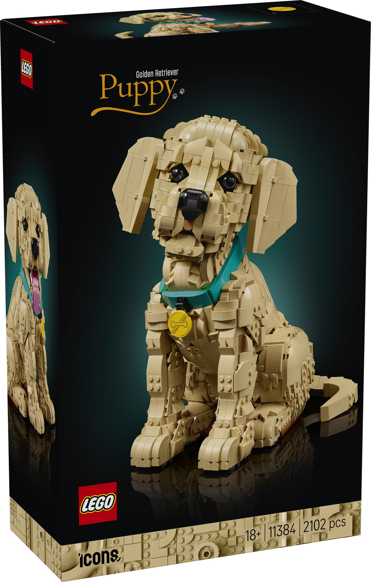 LEGO Icons 11384 Golden Retriever Puppy revealed! | Brickset